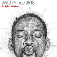 DJ Spirit - Wild Prince 2k18 by DJ Spirit