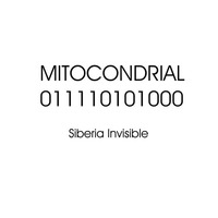 Mitocondrial by Six Ensemble
