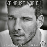 Gregor Meyle - Keine ist wie du (cover by Steven Liebrand) by Steven Liebrand