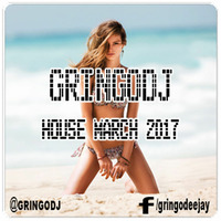 GRINGODJ - HOUSE MARCH 2017 by Christian Saavedra Gringodj