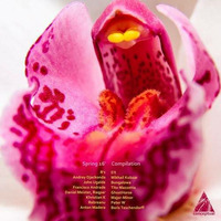 Conceptual Records Spring  Compilation : Boris Teschendorff - Mindcraft (Club Edit) by Boris Teschendorff