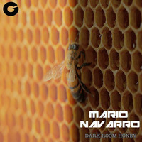 Mario Navarro (Dark Room Honey) RRS Vol 27 by Mario Navarro