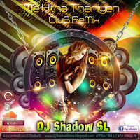 Me Hitha Thaniyen Electro Bootleg Remix [DJ SHADOW SL | Knight VisioN DJ's by DeeJ.lk
