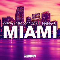 Gregor Salto &amp; Wiwek - Miami (Estefano Lezama Rework Push ME) by Estefano lezama