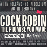 COCK ROBIN - THE PROMISE YOU MADE (GIORGIO K RE-FRESH ) by Dj Giorgio K (Mixforever)