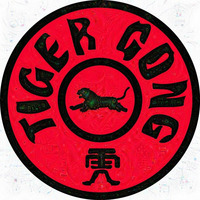 Tiger Gong Mix Down 2014 by Tiger Gong