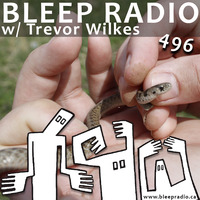 Bleep Radio #496 w/ Trevor Wilkes [Dekay Set To Captured] by Bleep Radio w/ Trevor Wilkes [Fun in the Murky!]