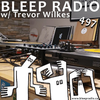 Bleep Radio #497 w/ Trevor Wilkes [Something Something Is Not Right] by Bleep Radio w/ Trevor Wilkes [Fun in the Murky!]