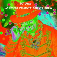 DJ Useo - DJ Spider Mashups Tribute Show by DJ Konrad Useo