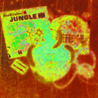 Bigfootz vinyl mix 1994-95 Hardleaders Jungle Dub (20.01.2017) by Bigfootz