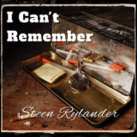 I Can't Remember by Steen Rylander