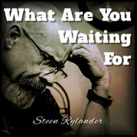 What Are You Waiting for by Steen Rylander