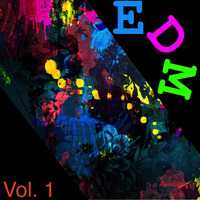 EDM Vol. 1 by DJ FMc - Germany