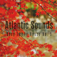 Deep in the House No. 5 by Atlantic Sounds