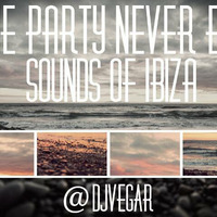 The Party Never End by Dj Vegar