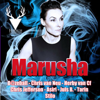 Chris van Neu @ Hirsch pres. Marusha Vinyl set by Chris v4n Neu
