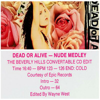 Dead Or Alive - Nude Medley Megamix 1989 DJ PROMO Hi-NRG Disco Eurobeat 80s by Retro Disco Hi-NRG
