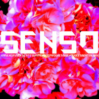 Kaiser Gayser's 'SENSO' Essential Mix by Kaiser Gayser