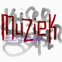 Kaiser Gayser 'MUZIEK' Essential Mix by Kaiser Gayser