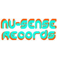 NU SENSE RECORDS NO1 by D JIM E FINGAZ