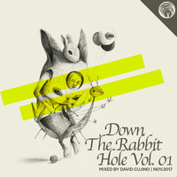 Down The Rabbit Hole Vol.1 - Mixed by David Cujino by David Cujino