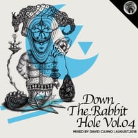  Down The Rabbit Hole Vol.4 - Mixed by David Cujino by David Cujino
