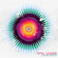 Vital Senses - Dispersion [IN:DEEP Easter Egg] by IN:DEEP Music