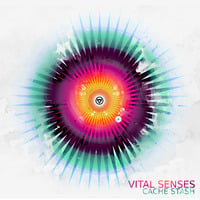 Vital Senses feat. Monolog - Extercy [IN:DEEP Easter Egg] by IN:DEEP Music