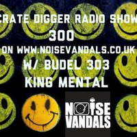 Budel 303 - Crate Digger 300 Mix by Budel 303
