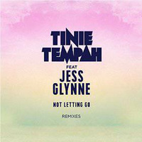 Tinie Tempah feat Jess Gylnne Not Letting Go two remixes in one song by DJ D3X