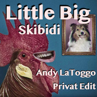 Little Big - Skibidi (Andy LaToggo Privat Edit) by Andy LaToggo