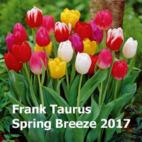 Spring Breeze 2017 by Frank Taurus