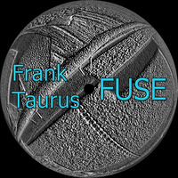 Fuse (Original Mix) by Frank Taurus