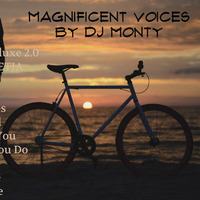 Magnificent Voices By DJ M(onty) by DJ M For Djmonty