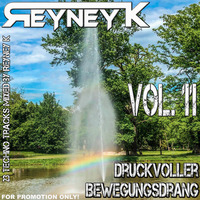 Reyney K - Druckvoller Bewegungsdrang Vol. 11 by Reyney K