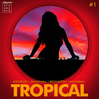 Tropical Mixtape I 2019 DJ AYA Mix | Moombahton Afrobeat Dancehall Reggaeton by Madeleine Alm