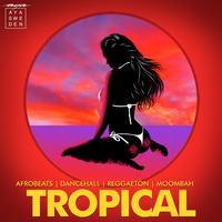 Tropical Mixtape II 2019 DJ AYA Afrobeat Dancehall Moombahton Reggaeton by Madeleine Alm