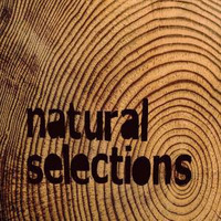 Reg Williams F.T Lady K.- Natural Selections Radio: 002 (March 2017) by Timeline Music 2.5
