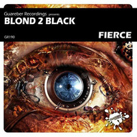 Blond 2 Black - Fierce Insane (Netto Nunes Mashup) by Netto Nunes
