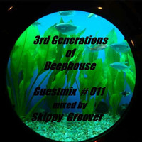 3rd Genarations of Deephouse Podcast #011 by Skippy Groover