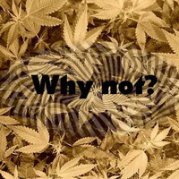 Skippy Groover - Why not (Original Mix) by Skippy Groover