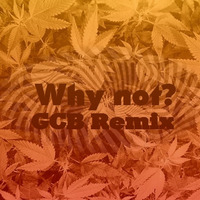 Skippy Groover - Why not (GCB Remix) by Skippy Groover