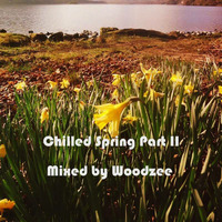 Woodzee - Spring Chill by Chilled Spring