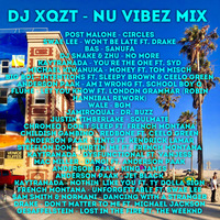 Nu-Vibez Mix 2019 by DJ XQZT