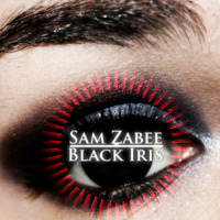 Sam Zabee Black Iris alternative Ending by Sam Zabee