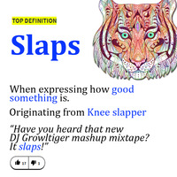 Slaps ~ (Pop HipHop Country Mashup Workout Mix) Feb 2020 by DJ Growltiger