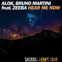 Alok Bruno Martini feat. Zeeba-Hear Me Now(SHOEIDJ REMIX 2018) by FILIPE SHOEIDJ