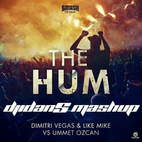 Dimitri Vegas, Like Mike &amp; Ummet Ozcan - The Hum [idanS Mashup] by DJ idanSade