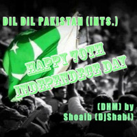 Dil Dil Pakistan (Instrumental) - DHM Shoaib (DjShabi) by Djshabi