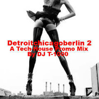 Detroitchicagoberlin 2 by Alan Oldham